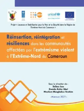 Réinsertion, réintégration et résiliences dans les communautés affectées par l'extrémisme violent à l'Extrême-Nord du Cameroun. 