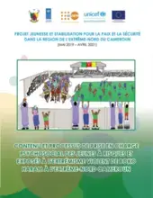 Contenu et processus de prise en charge psychosociale des jeunes à risque et exposés à l'extrémisme violent de Boko Haram à l'Extrême-Nord Cameroun