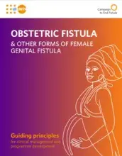 OBSTETRIC FISTULA  & OTHER FORMS OF FEMALE  GENITAL FISTULA: Guiding principles for clinical management and programme development.